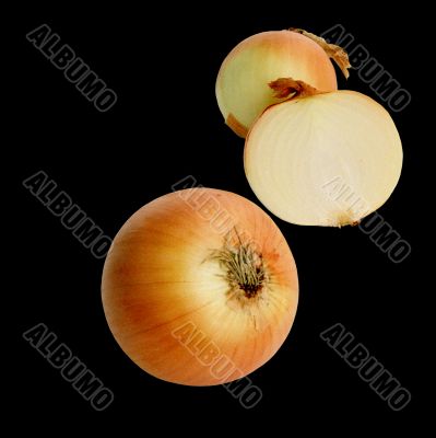 onion