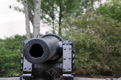 Into the Muzzle