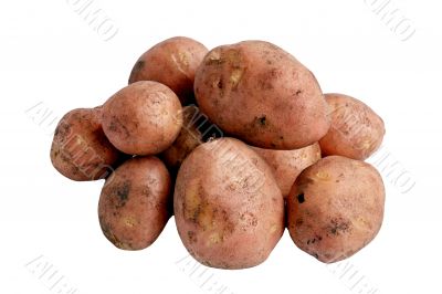 potatoes