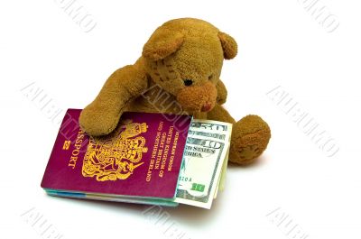 Toy Teddy Bear with Passport and Cash