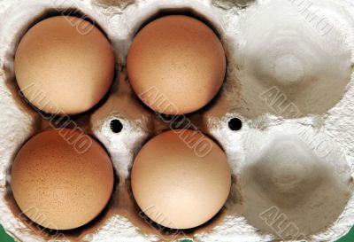Four Eggs