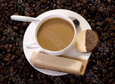 Coffee
