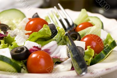 Salad