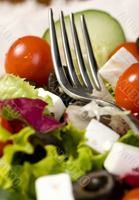 Salad