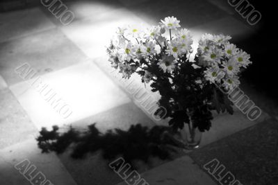 Remembrance