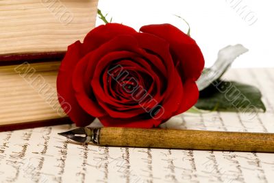 Rose Letter