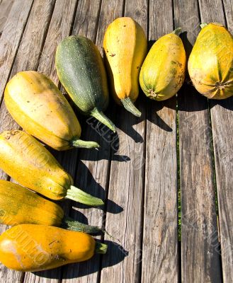 Semicircle from vegetable marrows