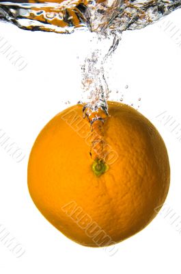 Orange Citrus - Water Fruit