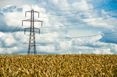 Pylon