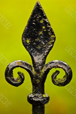 Fleur de Lys