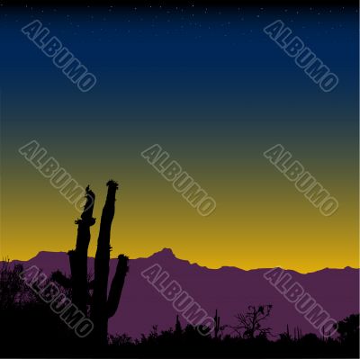 Cactus Desert Mountain Nightfall