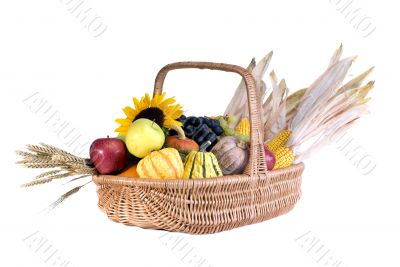 Cornucopia