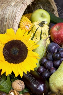 Cornucopia