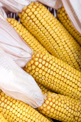 Corn