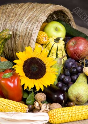 Cornucopia