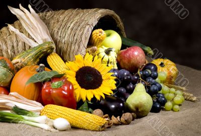 Cornucopia