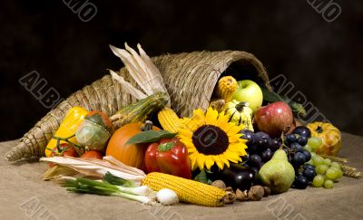 Cornucopia