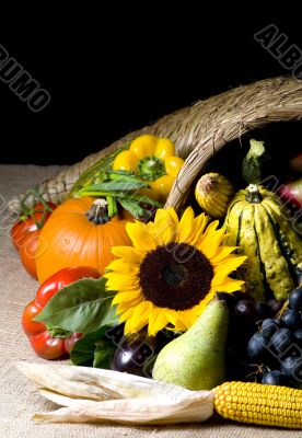 Cornucopia