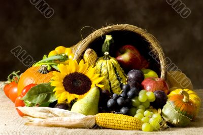 Cornucopia