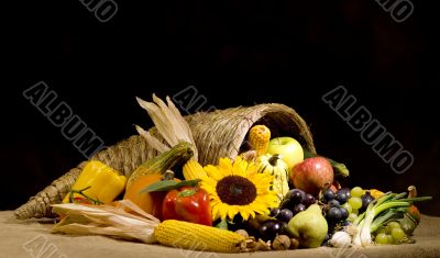 Cornucopia