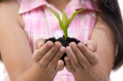 New Life