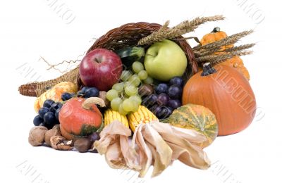 Cornucopia