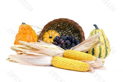 Cornucopia