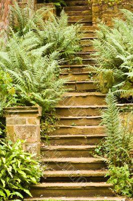 Fern Foliage Steps