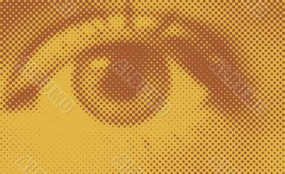 human eye