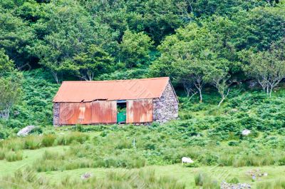 Red Hut