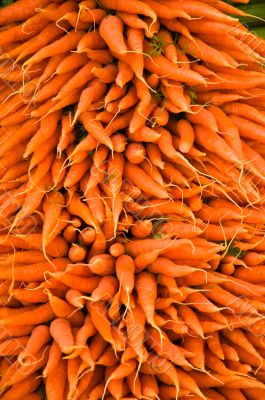 Carrots Jumble - Vegetable Background