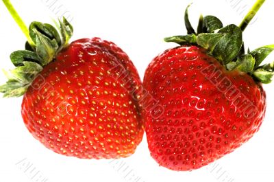 Strawberries on White