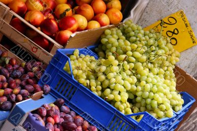 italian market