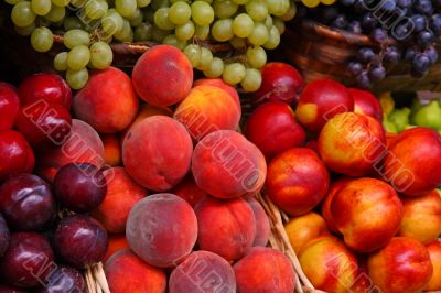 fruit market