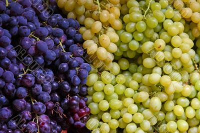 red and green grapes