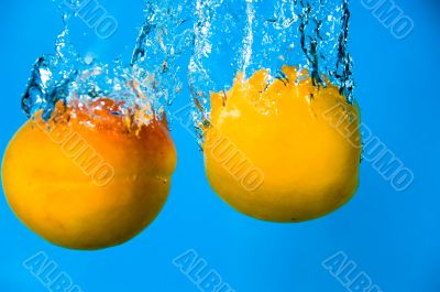 Apricot Fool