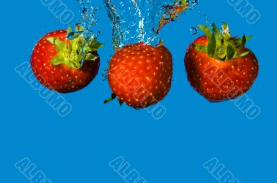 Strawberry Fruit in Water
