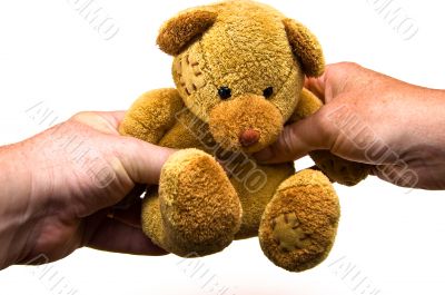 Toy Teddy Bear Gift