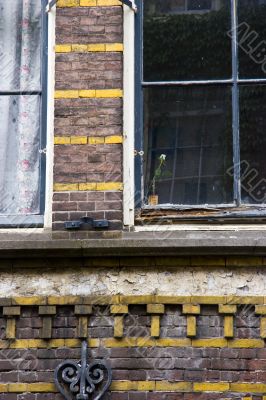 window flower