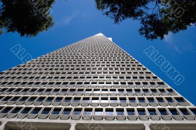 Skyscraper