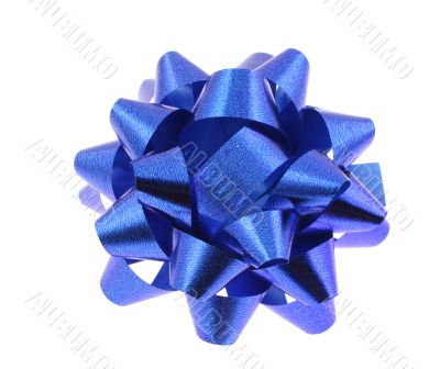 blue bow on pure white background