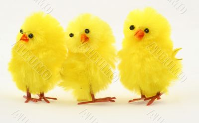 three toy chickens on white