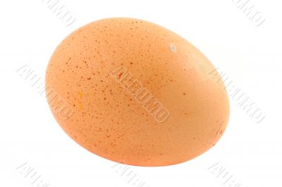 free-range egg