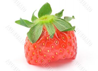 strawberry bite with a stalk - real macro