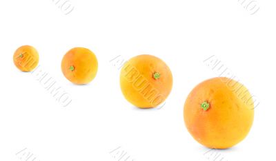 fruitful progress