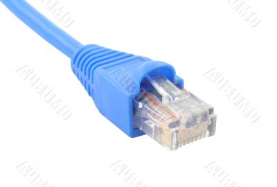 RJ-45 cable on pure white background