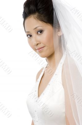 Young Bride With Veil