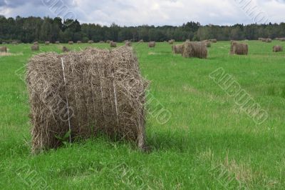 Hay bales