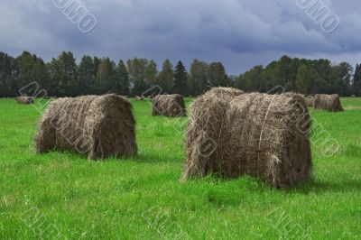 Hay bales