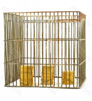 banking - coins in cage on white #3